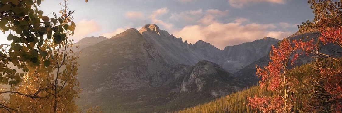 paulabgrn's profile banner image