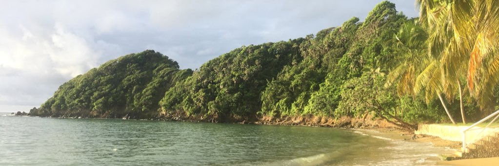 Sembklyn's profile banner image
