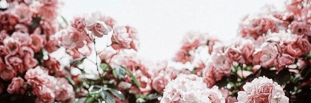 VeeTee_'s profile banner image