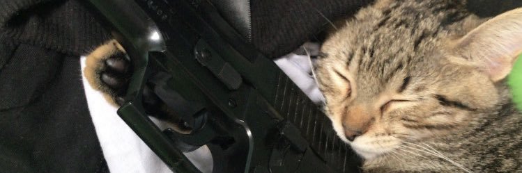 AstridRmz2's profile banner image
