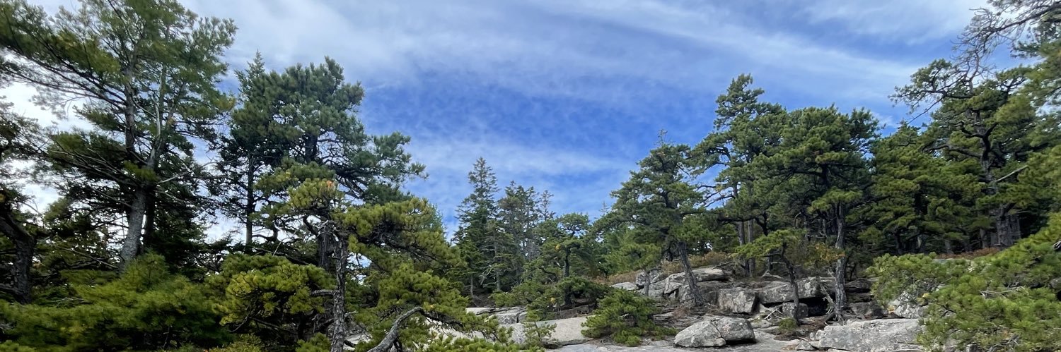 JKonopacky's profile banner image