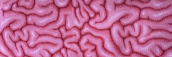 daniihorror Profile Banner