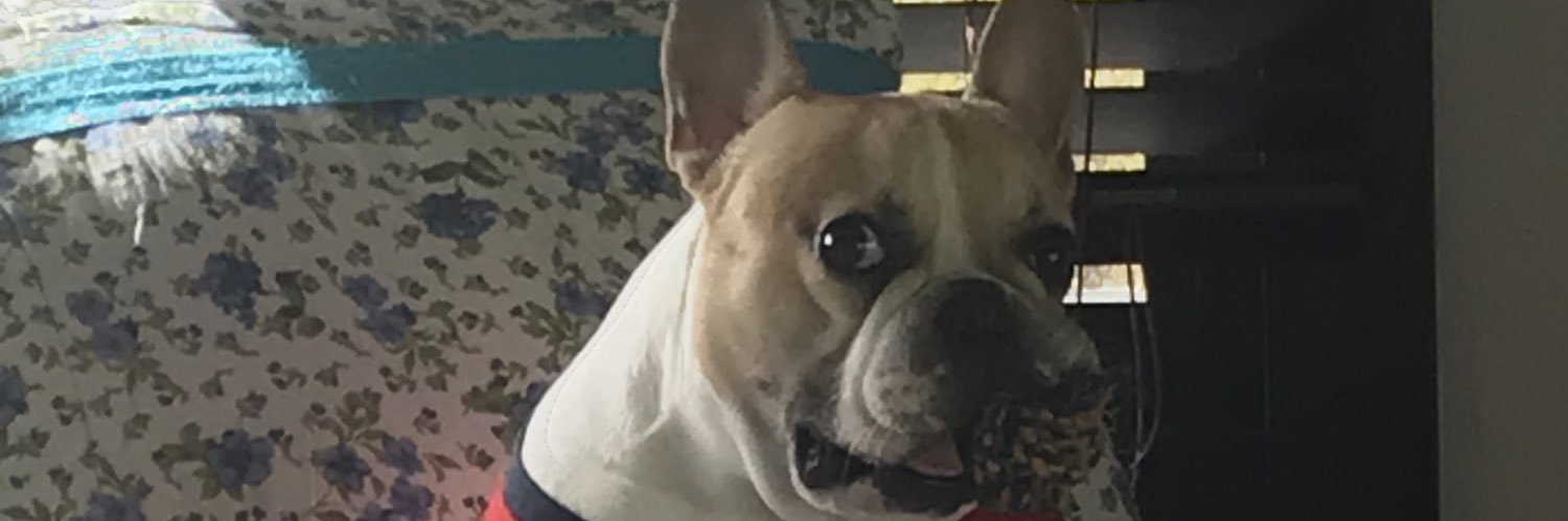 braissx's profile banner image