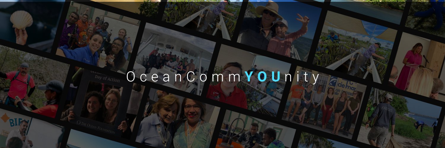 oceanfdn's profile banner image