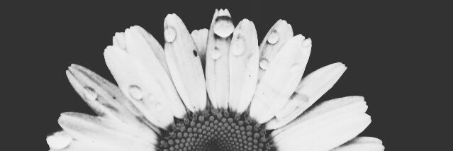 denae_moore's profile banner image