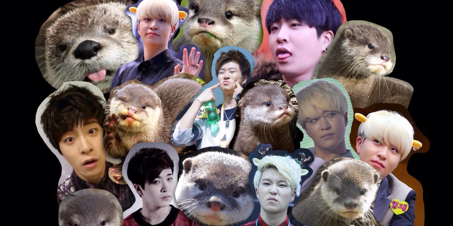 OTTERJAE's profile banner image