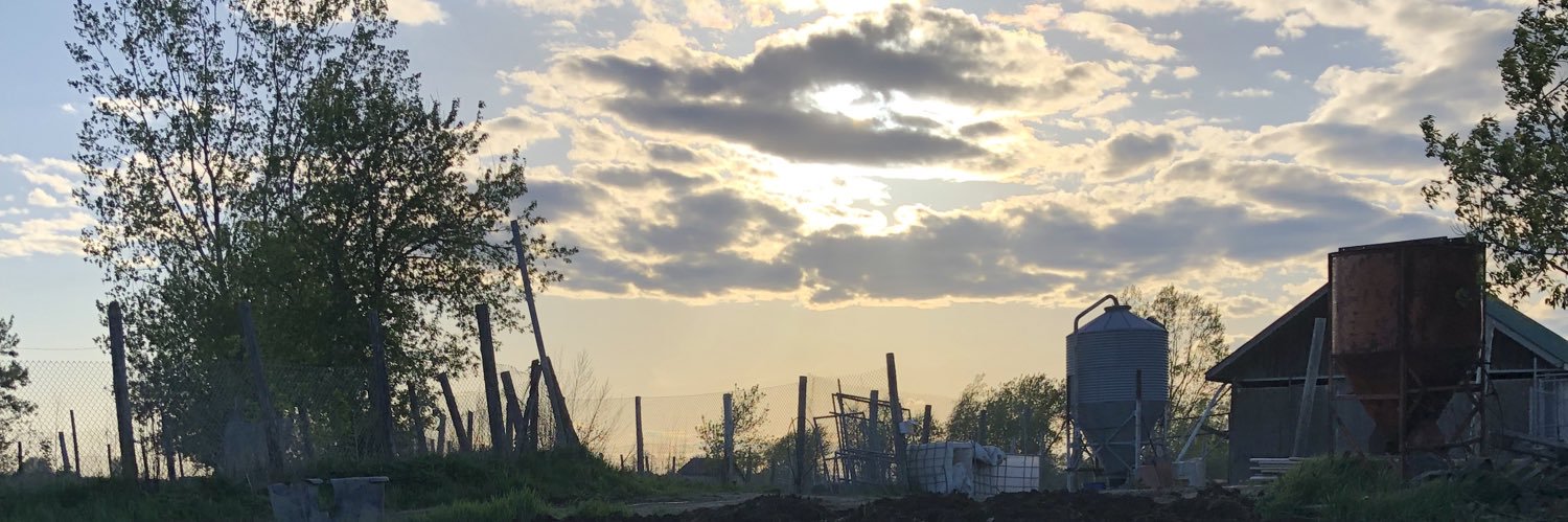 RE_Brosseau's profile banner image