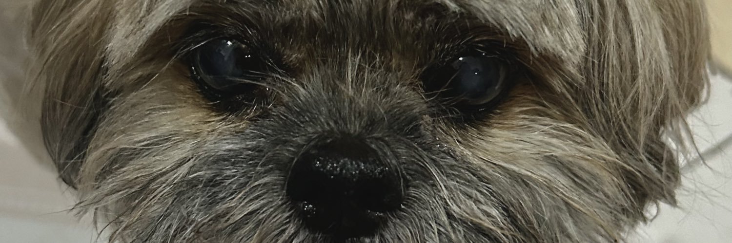 sussetsm's profile banner image