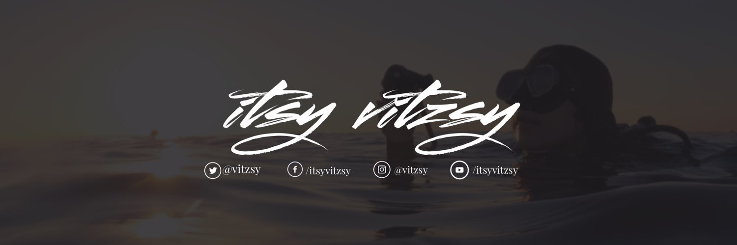 vitzsy's profile banner image