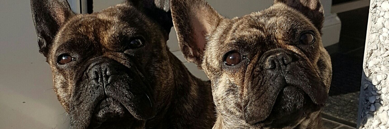 Andy_Mcl_'s profile banner image