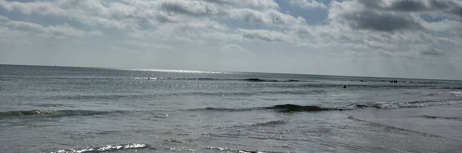 fawnicated's profile banner image