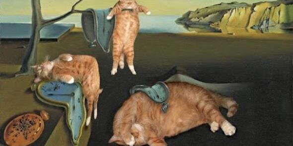 EileenFunny's profile banner image