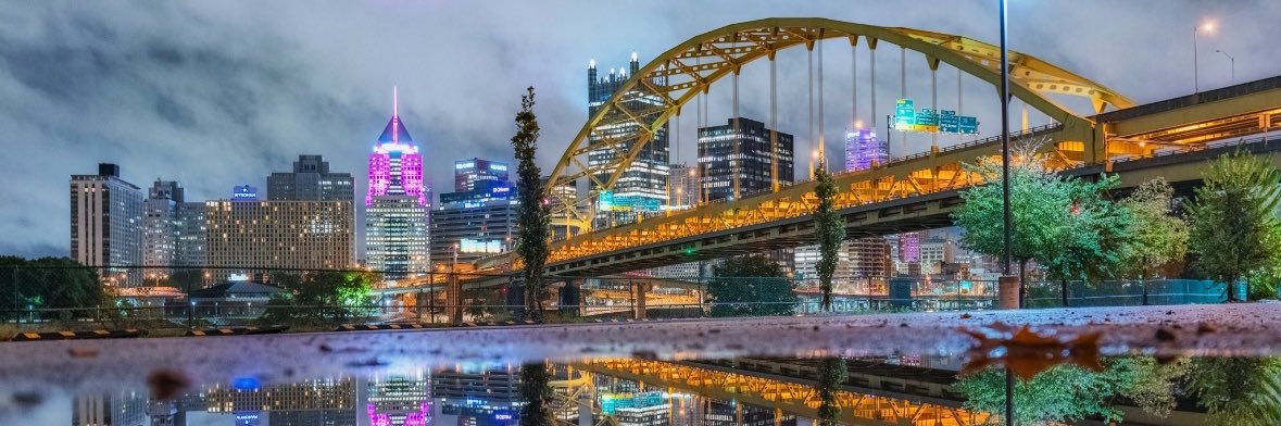 Dr. Roddy McGee banner