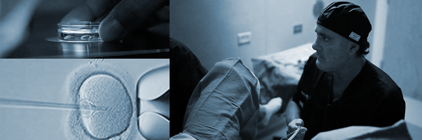 DrBrianKaplan's profile banner image