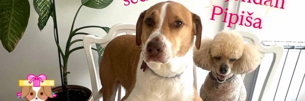 poludomacica Profile Banner