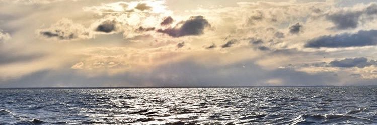 JuliaOosterman's profile banner image
