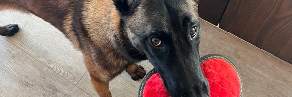 kamalravikant Profile Banner