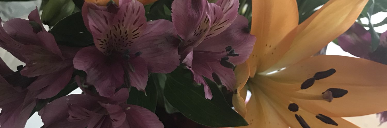 LJLevinson's profile banner image