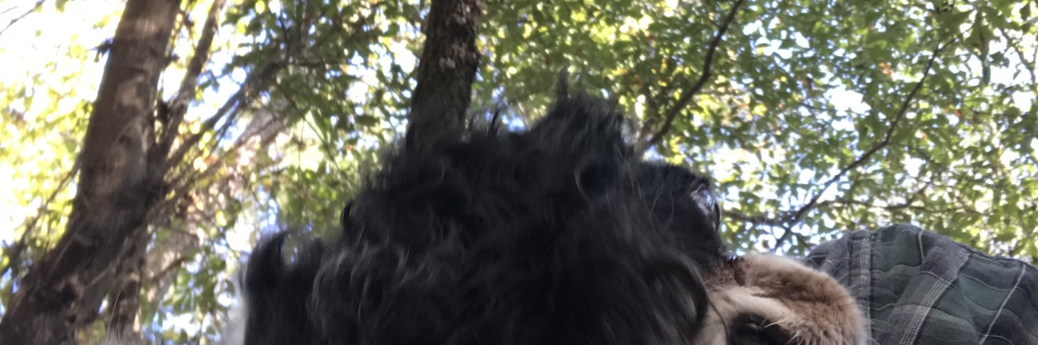 jbaumunk1's profile banner image