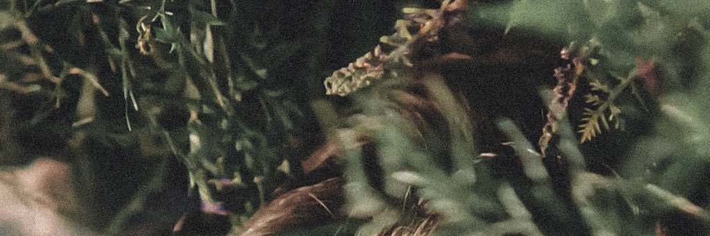 starrygece's profile banner image