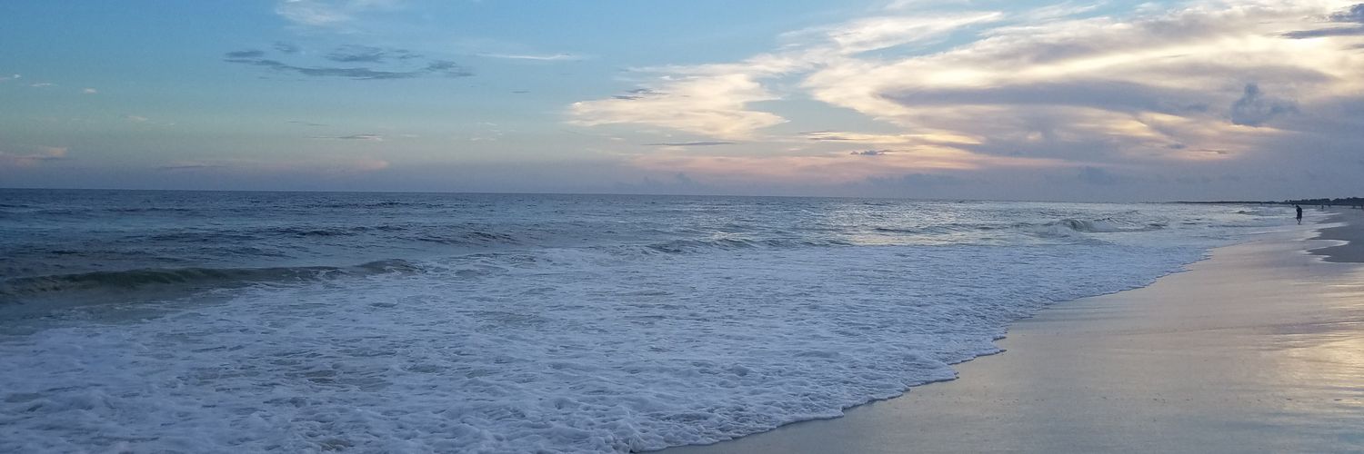 lexireber's profile banner image