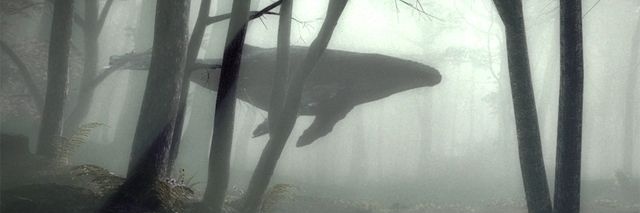 𝕺𝖇𝖎𝖘𝖙𝖞𝖑𝖊 banner