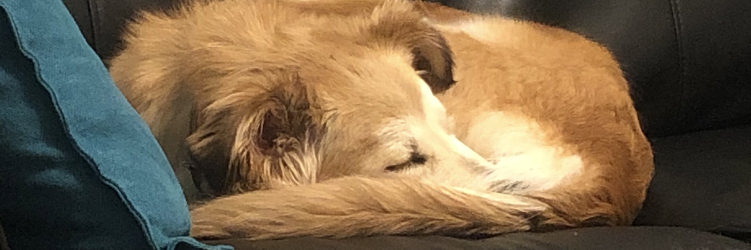 Kyle_petrik's profile banner image