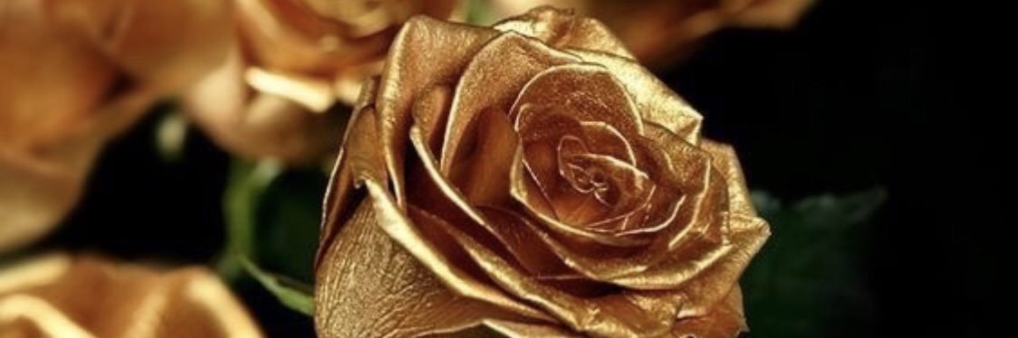 ChelseyReign_ox's profile banner image