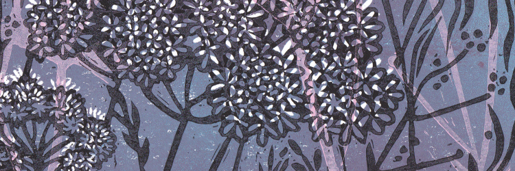 hazelbmcn's profile banner image