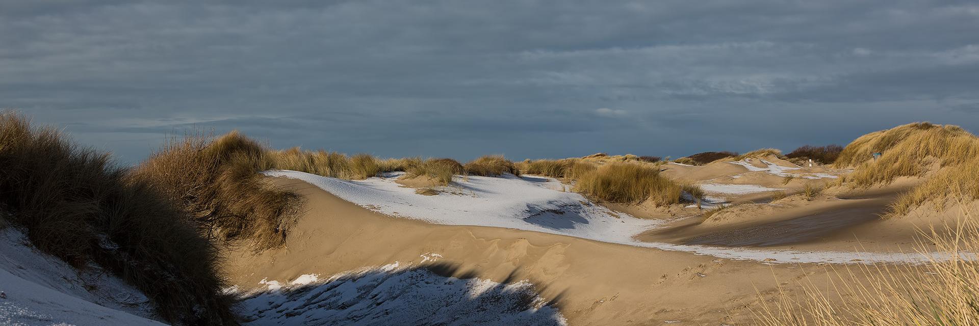 burghhaamstede's profile banner image