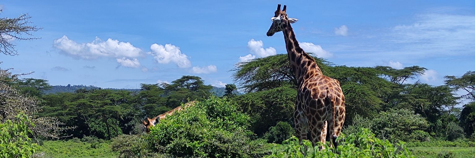 PMarteyAddo's profile banner image