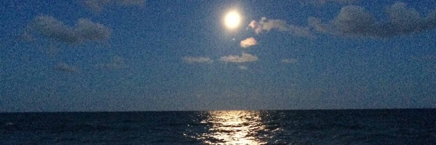 pd_peg's profile banner image