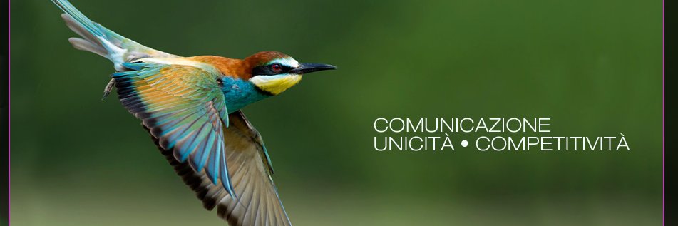 OpenArtVT's profile banner image