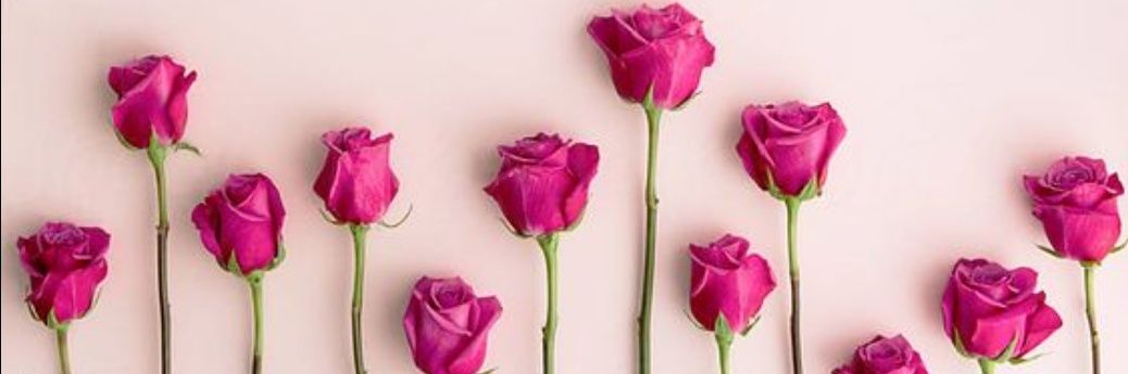 yldrmeknn's profile banner image