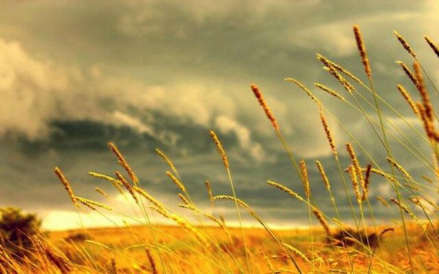 cak_kampreet's profile banner image