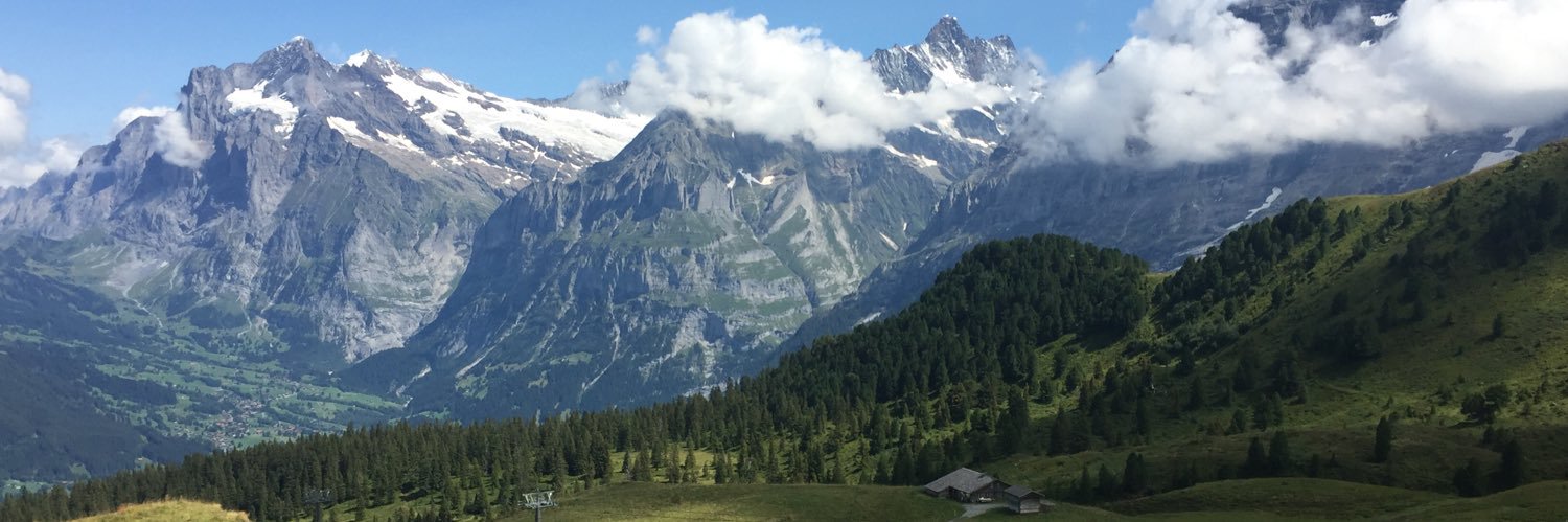 Judith Hendley banner