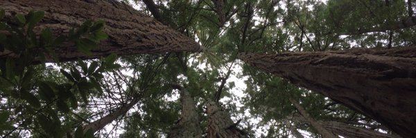 EvaSasson Profile Banner