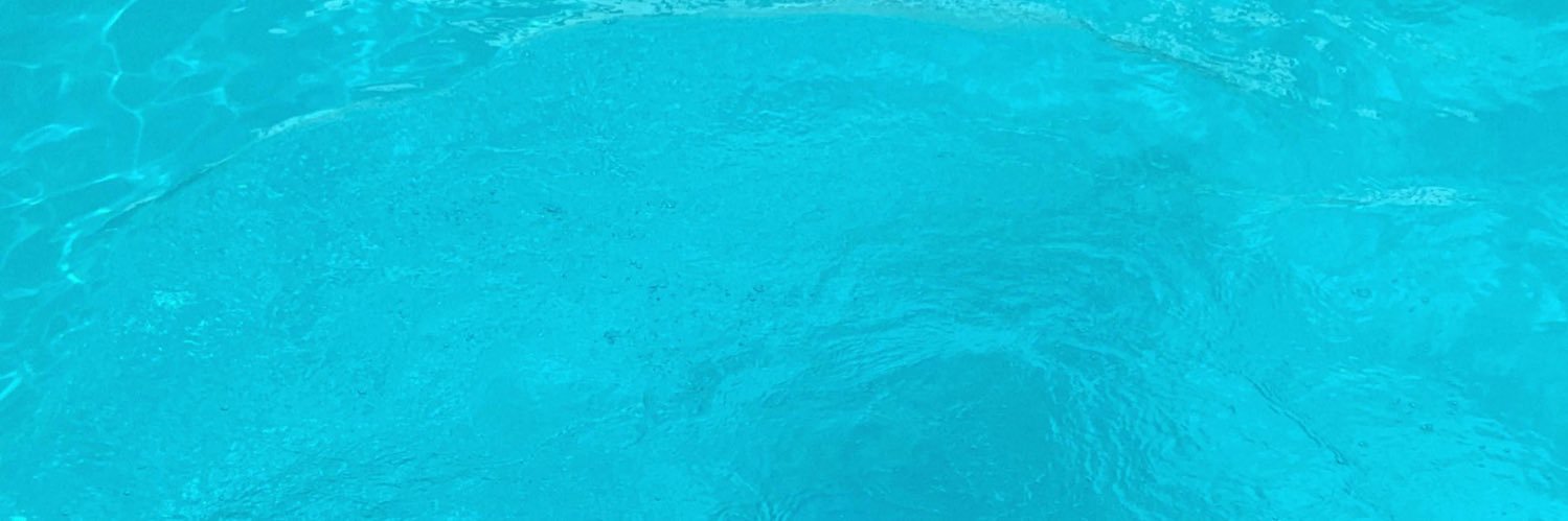 garrulero's profile banner image