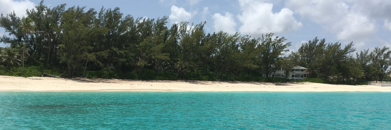 Michael Schuetz banner