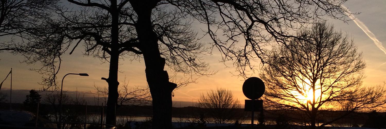 Delshult's profile banner image