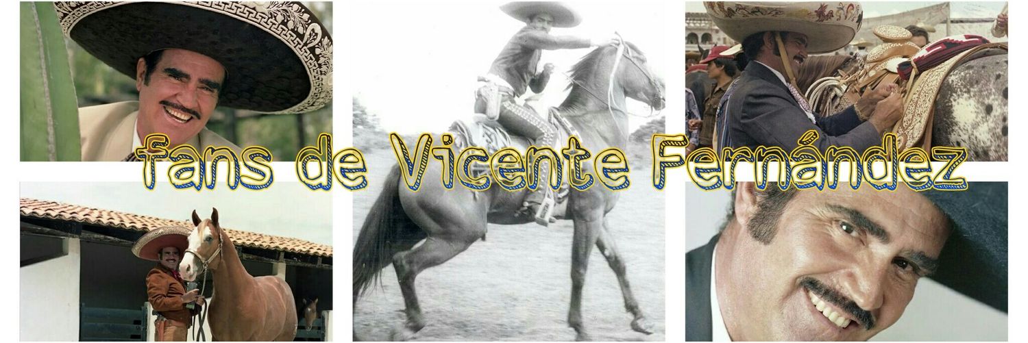 fanschente's profile banner image