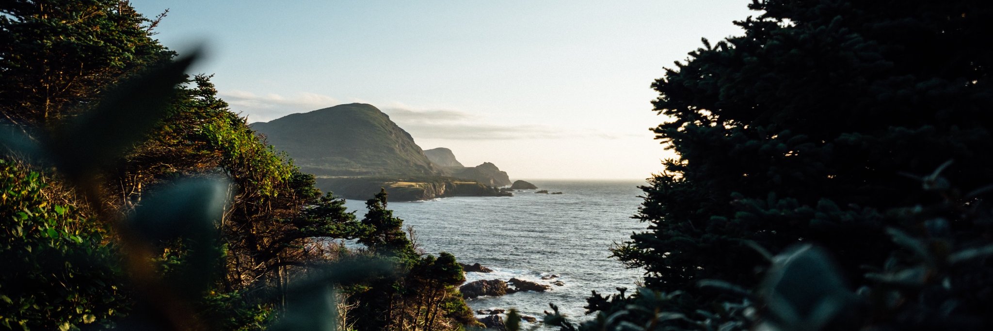 GoodPlanetGreen's profile banner image