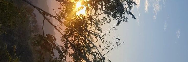 fbteyla's profile banner image