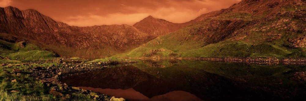 Зайчик & Славчик 🌻 🇺🇦🇪🇺 banner