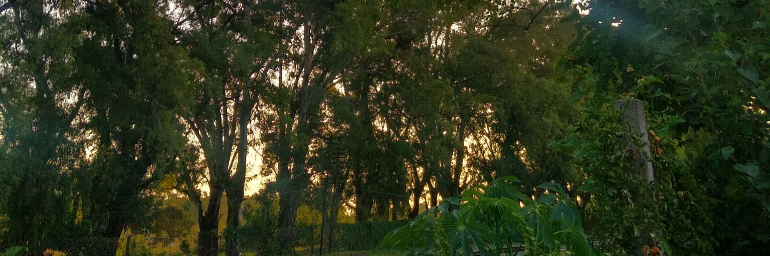 JaviCean's profile banner image