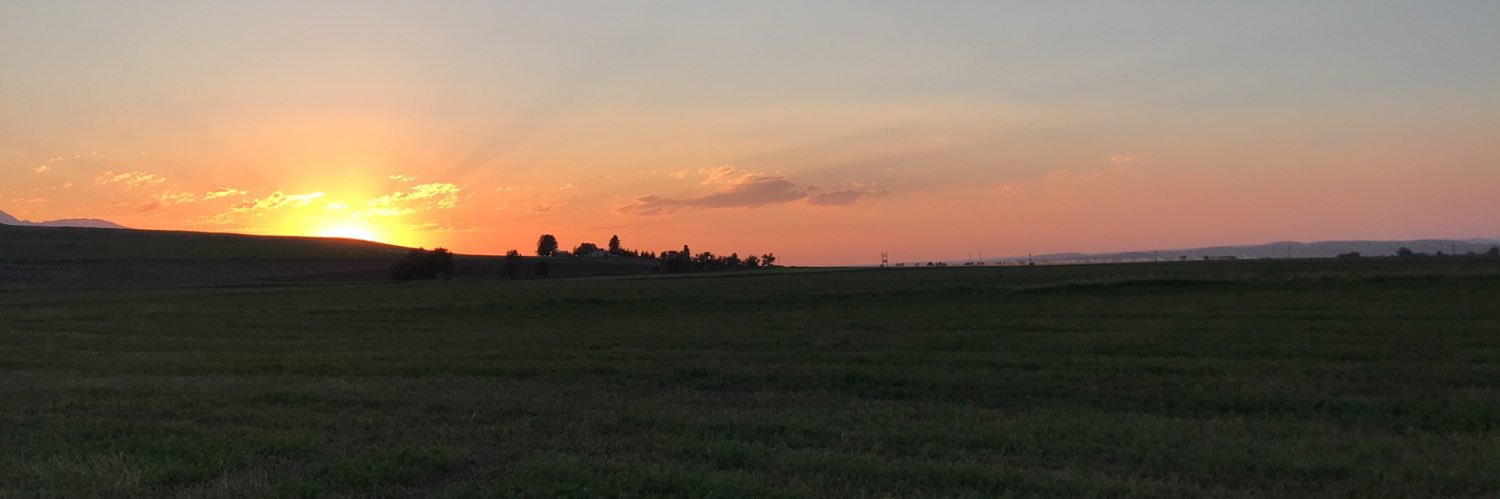 AshleyExon's profile banner image