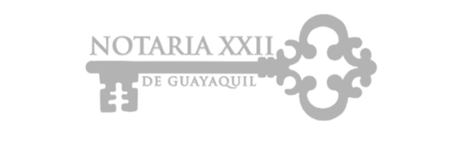 sofiyunes's profile banner image