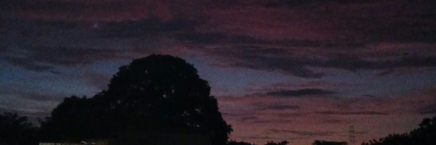 _emilyboada's profile banner image