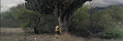 jccortazar's profile banner image