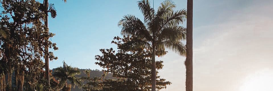 Débora Medeiros banner